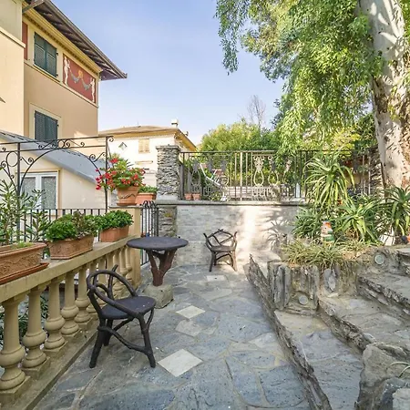 Mimosa סן מיקלה די פגנה